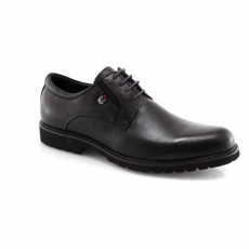 Brown colour men classic shoes