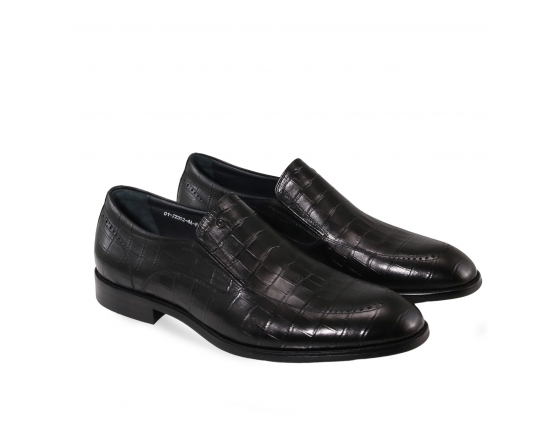 men  classic shoes